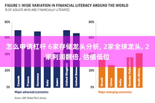 怎么申请杠杆 6家存储龙头分析, 2家全球龙头, 2家利润翻倍, 估值低位