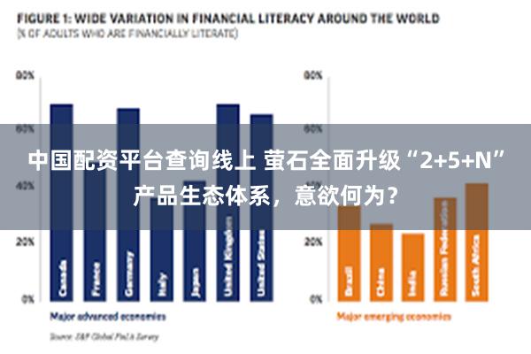 中国配资平台查询线上 萤石全面升级“2+5+N”产品生态体系，意欲何为？