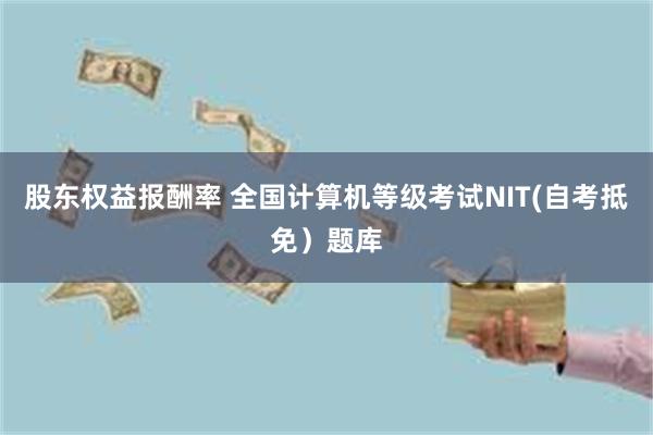 股东权益报酬率 全国计算机等级考试NIT(自考抵免）题库