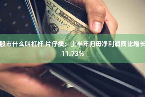 股市什么叫杠杆 片仔癀：上半年归母净利润同比增长11.73%