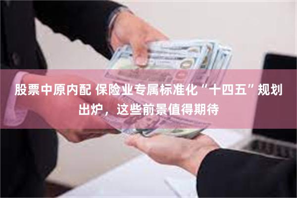 股票中原内配 保险业专属标准化“十四五”规划出炉，这些前景值得期待