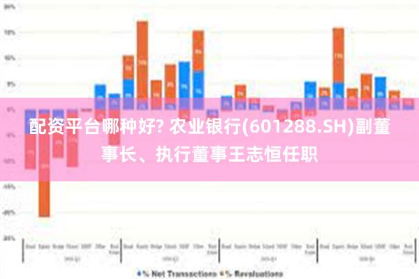 配资平台哪种好? 农业银行(601288.SH)副董事长、执行董事王志恒任职