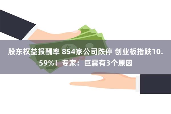 股东权益报酬率 854家公司跌停 创业板指跌10.59%！专家：巨震有3个原因