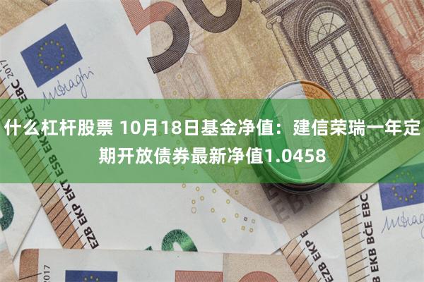 什么杠杆股票 10月18日基金净值：建信荣瑞一年定期开放债券最新净值1.0458