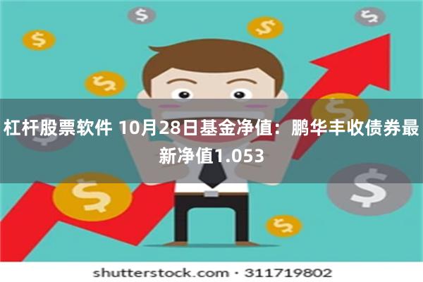 杠杆股票软件 10月28日基金净值：鹏华丰收债券最新净值1.053