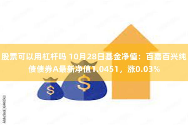 股票可以用杠杆吗 10月28日基金净值：百嘉百兴纯债债券A最新净值1.0451，涨0.03%