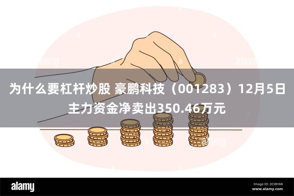 为什么要杠杆炒股 豪鹏科技（001283）12月5日主力资金净卖出350.46万元