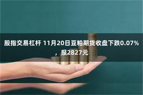 股指交易杠杆 11月20日豆粕期货收盘下跌0.07%，报2827元