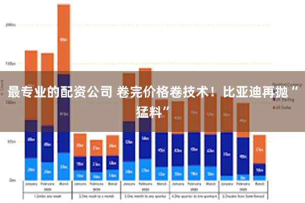 最专业的配资公司 卷完价格卷技术！比亚迪再抛“猛料”