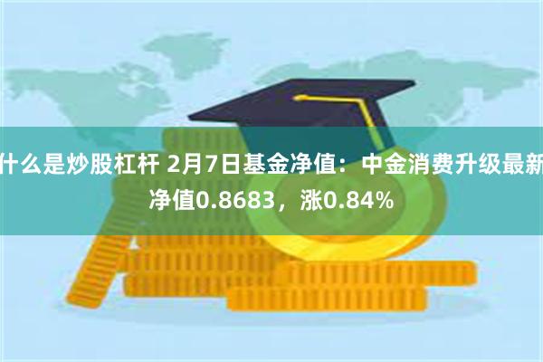 什么是炒股杠杆 2月7日基金净值：中金消费升级最新净值0.8683，涨0.84%